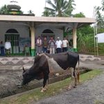 IMG_20240617_155642