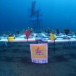 IMG-20240611-WA0019